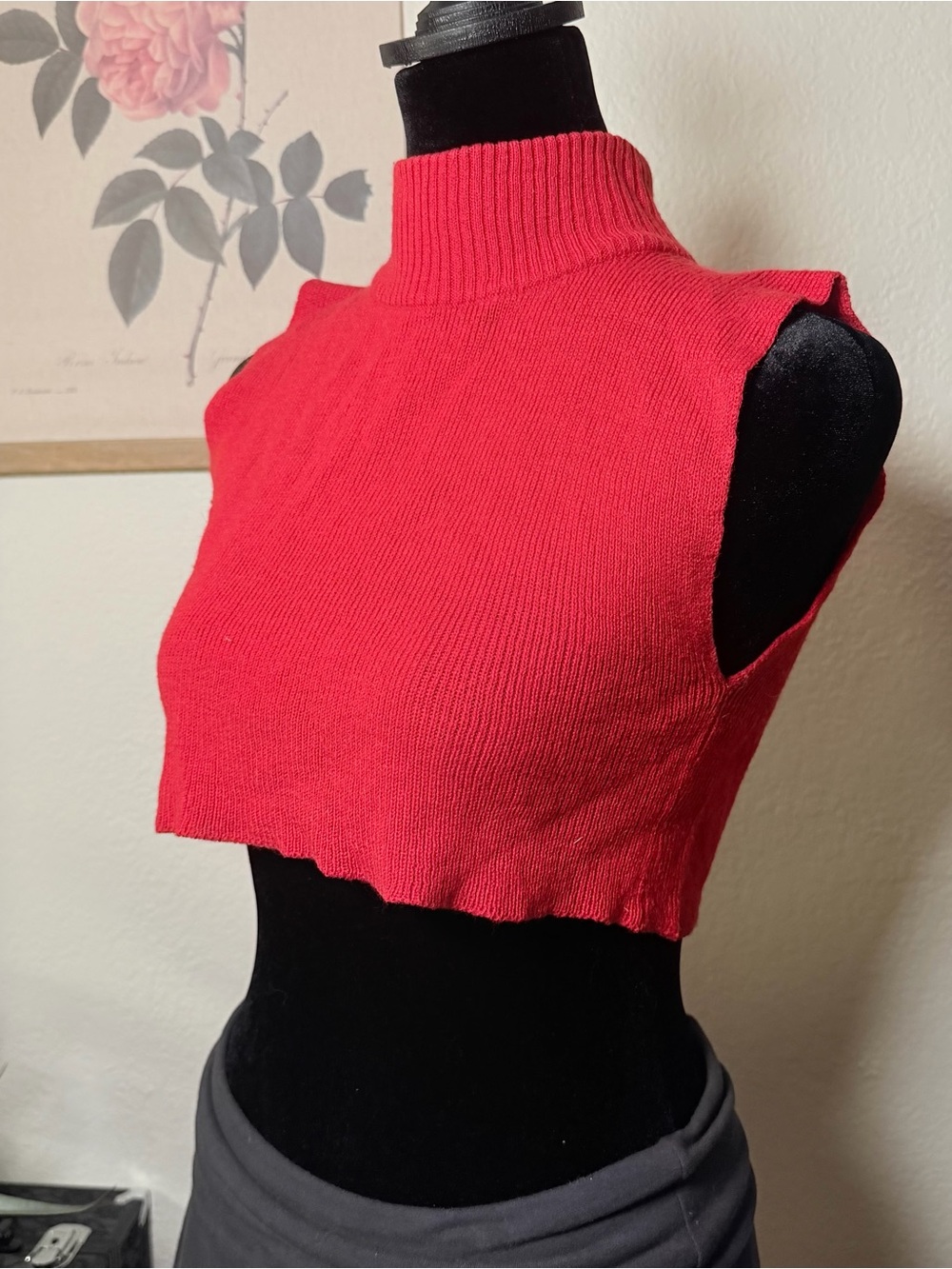 Vintage Red Mock Neck Crop Tank Top